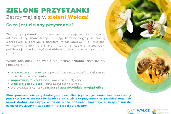 Infografika w języku polskim przedstawia zielone przystanki w Wałczu; zawiera zdjęcia pszczół i kwiatów, zielone ramki tekstowe oraz wykaz korzyści dla środowiska, takich jak oczyszczanie powietrza i wspieranie różnorodności biologicznej.